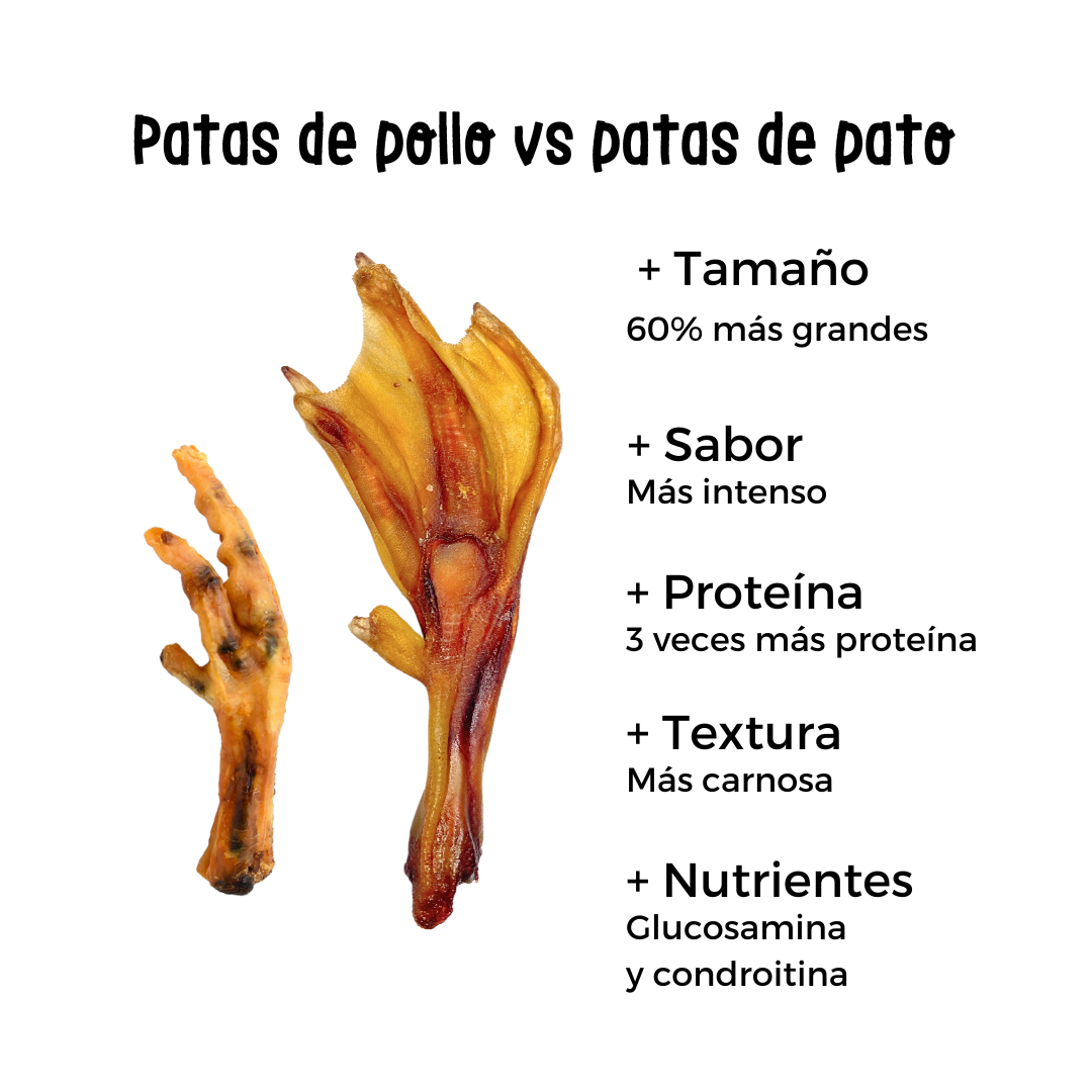 Patas de pato deshidratadas (4pz)